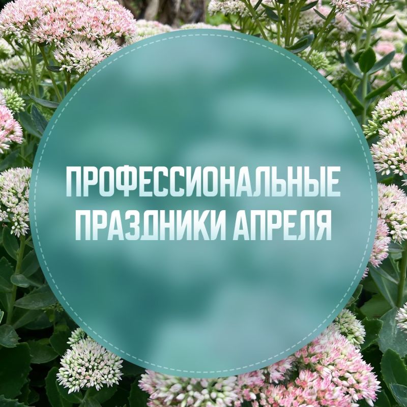 � ���� ������ ������� ��� �������������� ��������� ����������� ����: 13 ������ � � ����� � ������������� �������� �������� ����������� (�����)