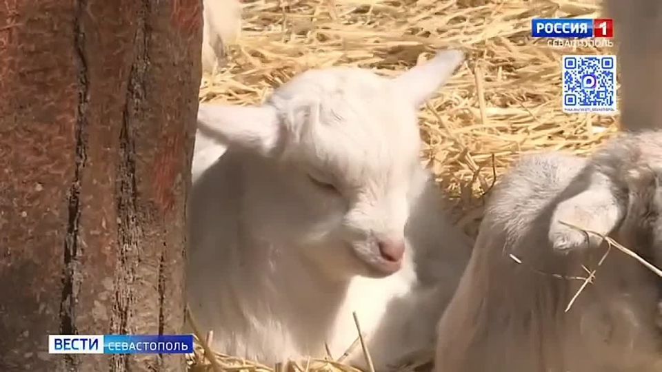 � ������ ��������� ����������! ������, ������� ������ �������� ��� �� ��� ����� ������ ���������? ������ �� ��������� ��� � ����� ���� �������� �������� �������