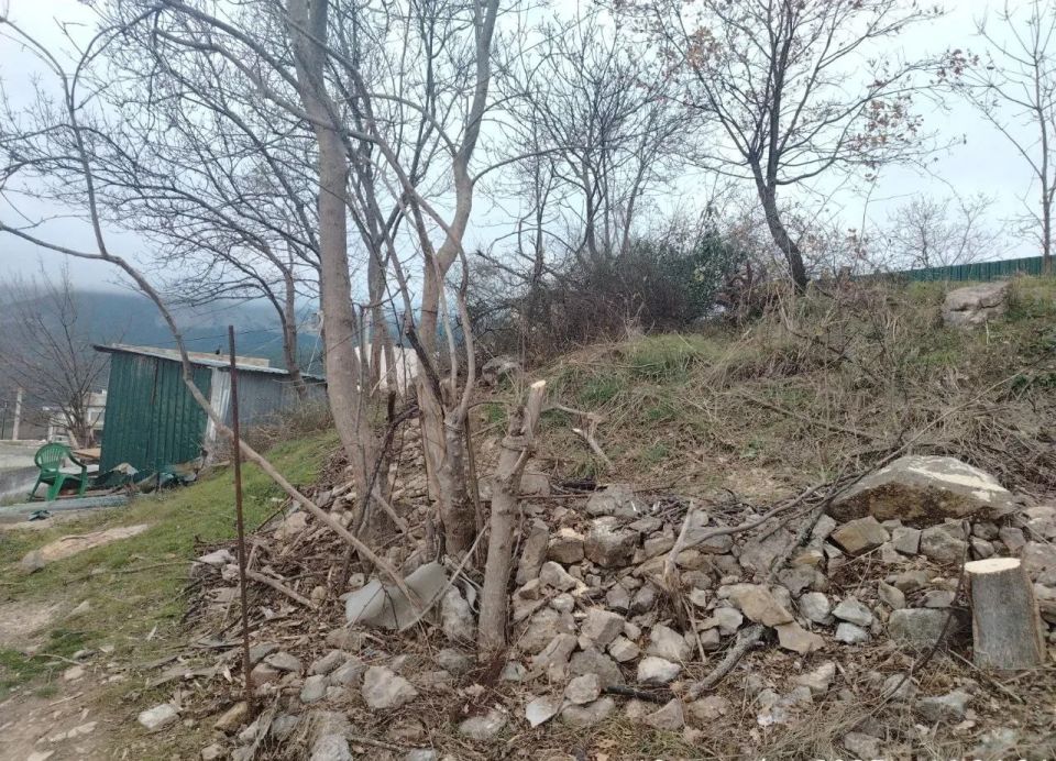 ����� ��������: �� � �����. ����� ������ ����������� ��������� ��������� �������