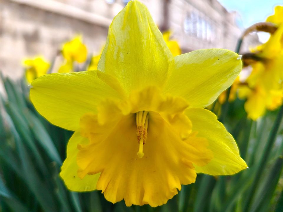 ������ ����, �������!. ����� � ����� ���������� � ����� ���������, � ����� ������ ������ ����� ��� ����� �������� ������, �������� � ��������� ����������