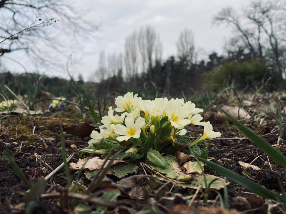 ������ � ����������� 1 ������