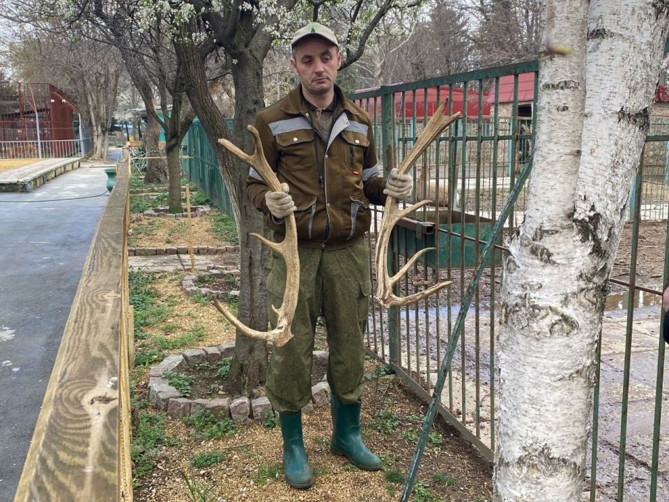 ���� �� �����. ����� �� ������ ������ �� ���������������� ��������� ��������� �� ������ ������