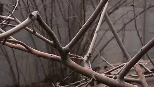 � ��� � ����� ����� �������