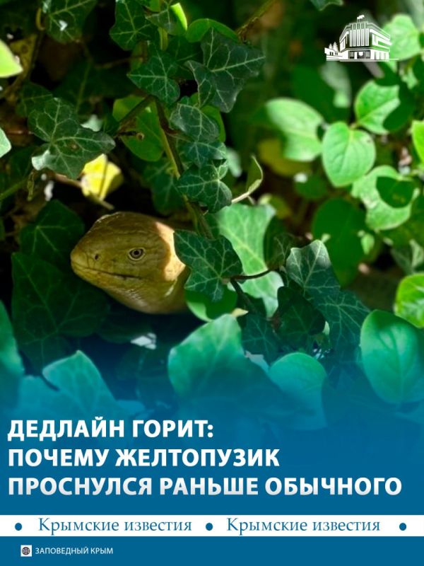 ���������� � ����� ��������� ������ ��������