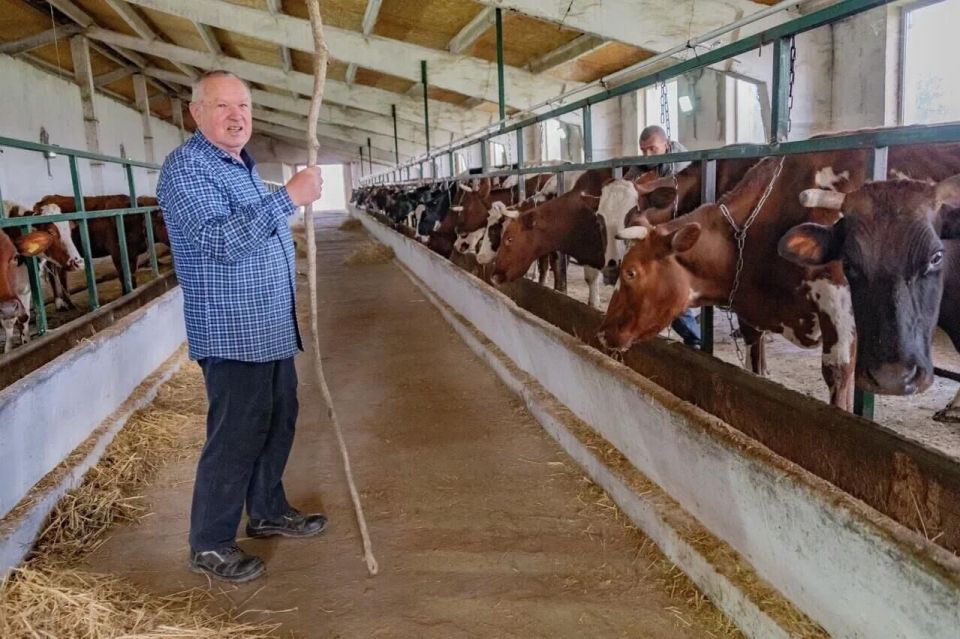 �� 10% �� ��� ���� ����������� ��������� ����� � �����������