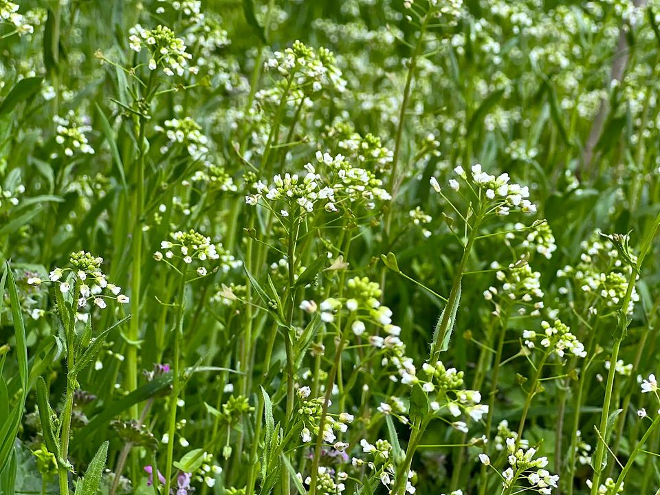 ������ ����, �������!. ������ ��� ����������� ���������� � �������� � ����! ������� � �������� �������, t +9 - +13, ����� ���������, ���������