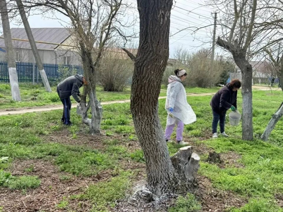 � ���� ������������ ������ ������������ ���������� �����������