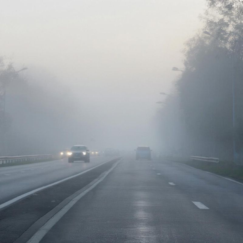 ������ ����� ������ �����������