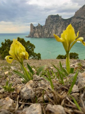 ��� ����� ����. � ��� ��� ������� �����