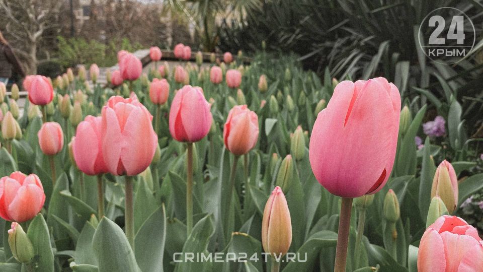 ���������� �������� ��������� �������� � ����� ������� �����!