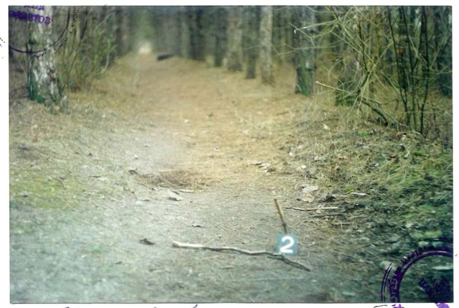 ������ ���� ������ �� �������� ���������, ����������� ����� 26 ��� �����