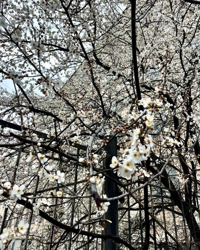 Прогноз погоды в Крыму на 2 апреля