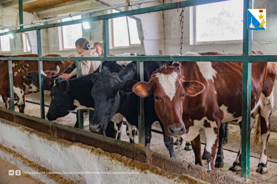 ��������� ������������ ������������ �� ������� 14 ��������� ������