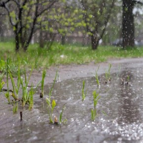 ������� ������ � ����� �� 3 ������