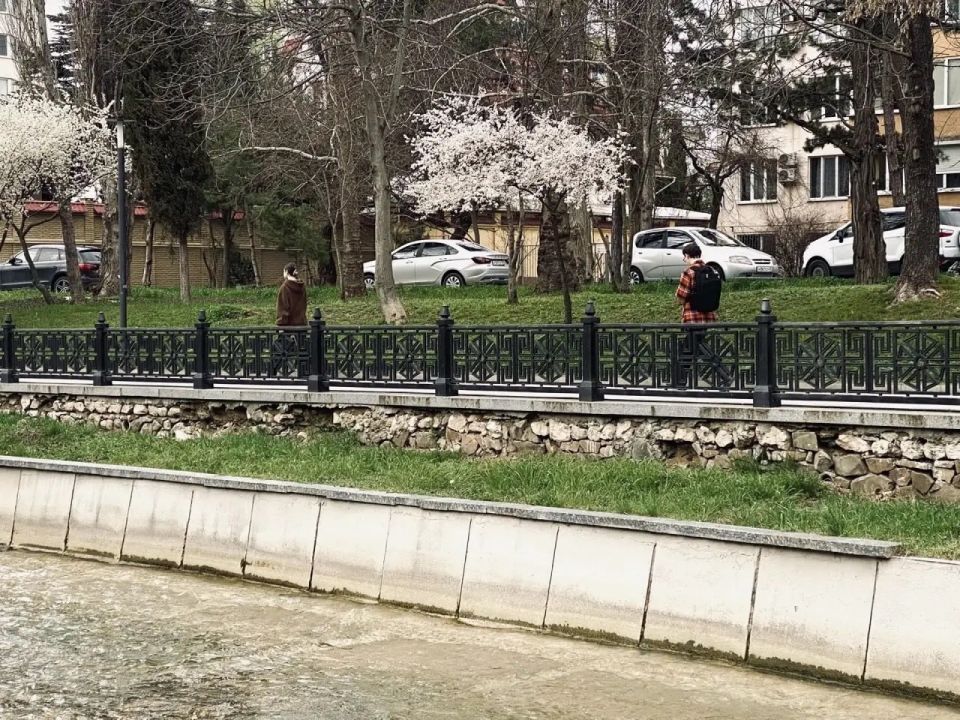 ������ � ����������� 3 ������