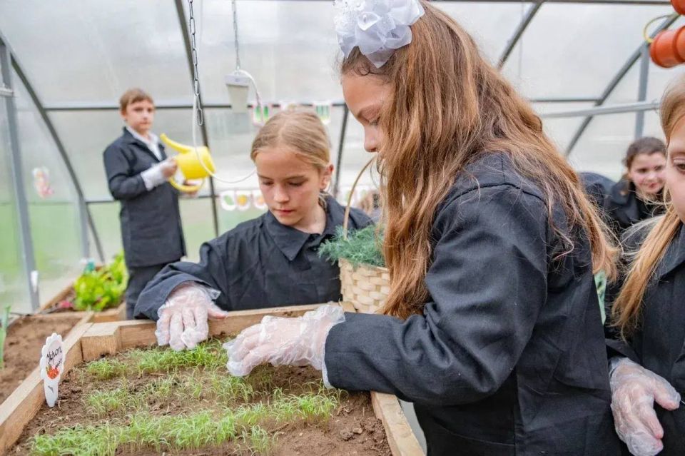 Михаил Развожаев: Ученики севастопольских агроклассов начали весенние работы в теплицах