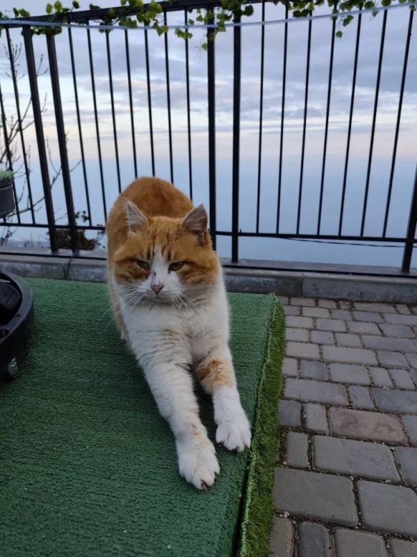 ��������� ��������, �������������!