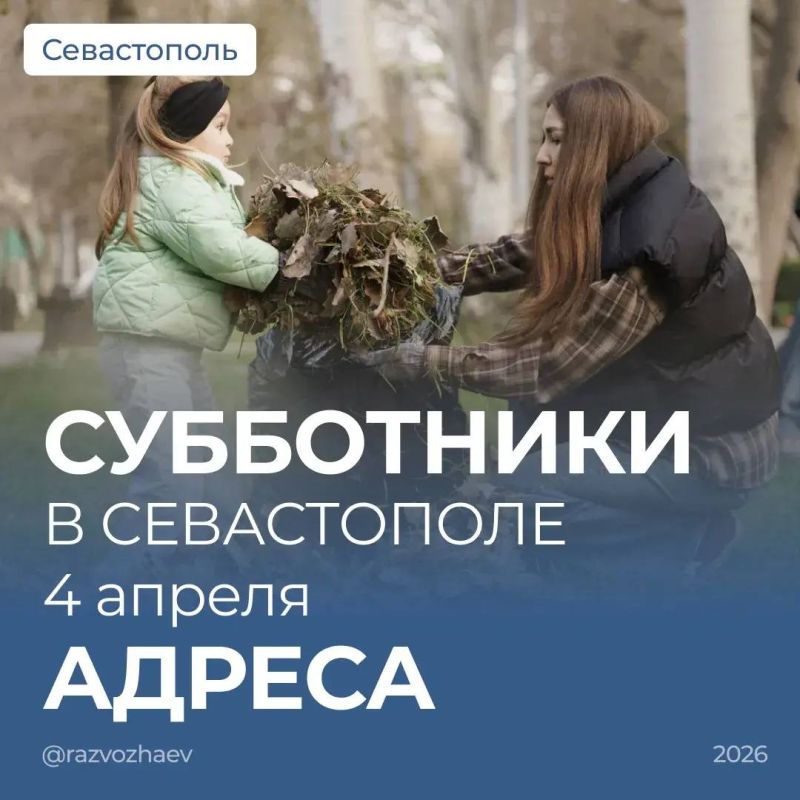 Михаил Развожаев: Продолжаем в Севастополе месячник чистоты