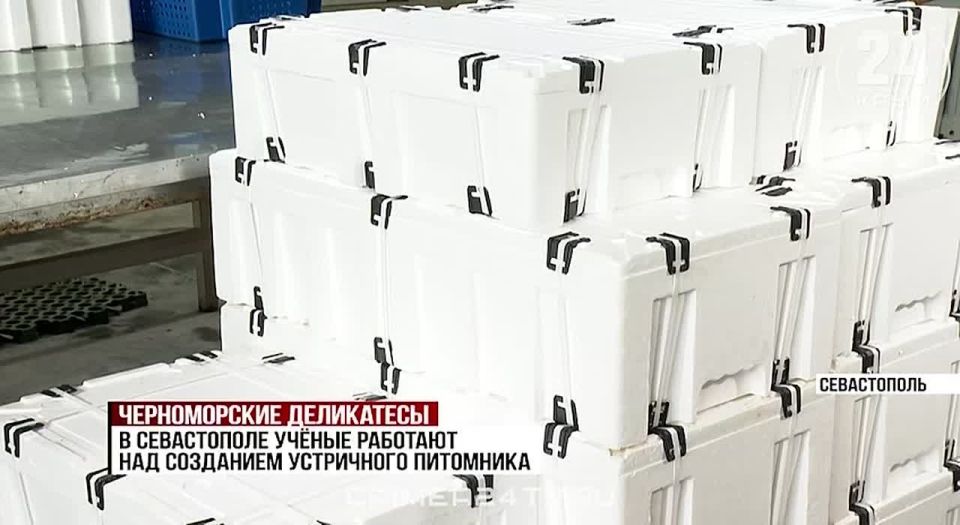 7 ��� ������ �������� �� �������� ����������� �� �������������� ����������� ������ � �����������