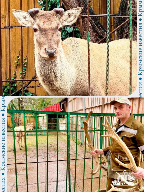 ����� �� ������ ������ �� ���������������� ��������� ������� ����