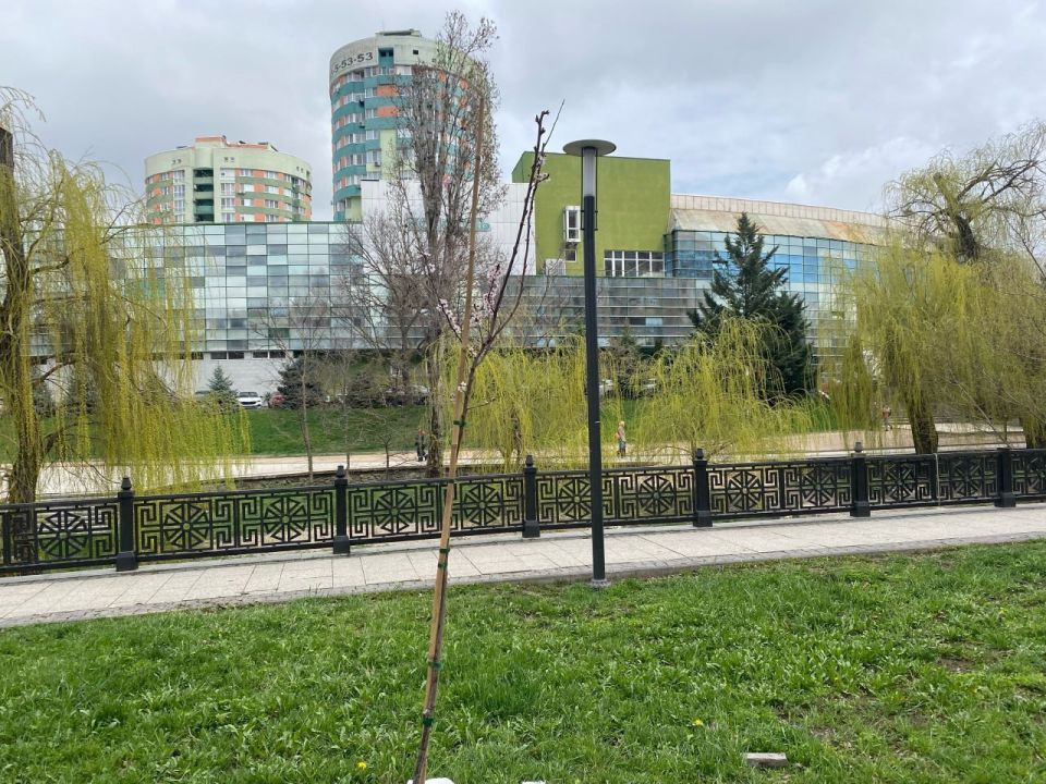 Театр и природа. Представители театрального сообщества Симферополя вышли за пределы сцены и приняли участие в высадке деревьев на набережной Салгира Театр и природа. Представители театрального сообщества Симферополя вышли за пределы сцены и приняли участие в высадке деревьев на набережной Салгира