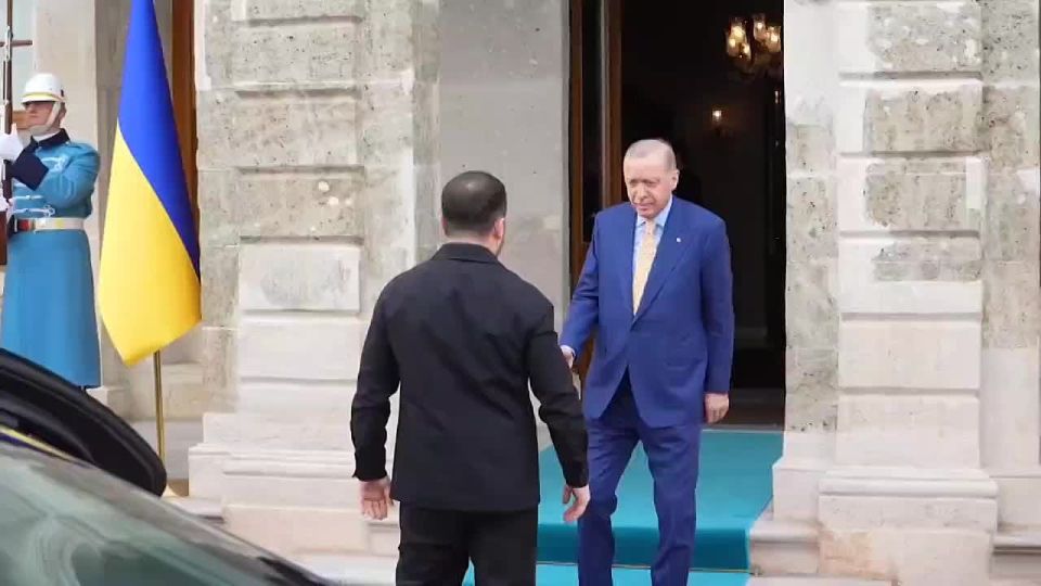 Владимир Зеленский во главе украинской делегации неожиданно прибыл в Стамбул для встречи с президентом Турции