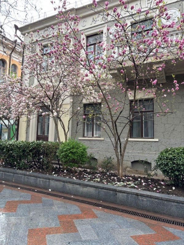 � ���� ��� ��������� �������� ��������