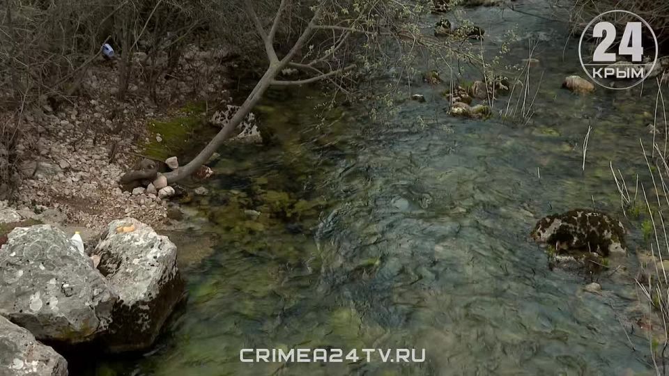 �������� ������������� �������� 153 ��� ���������� ����