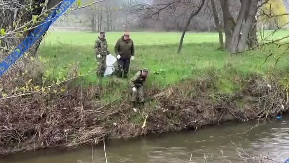 ����� ����������� ������������ � �����������