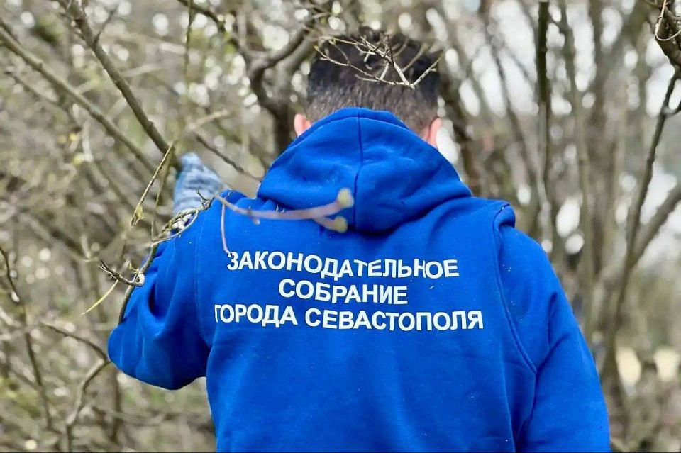 Владимир Немцев: Сегодня провели субботник на территории вблизи домов № 5, 7 и 15 по улице Александра Маринеско Владимир Немцев: Сегодня провели субботник на территории вблизи домов № 5, 7 и 15 по улице Александра Маринеско
