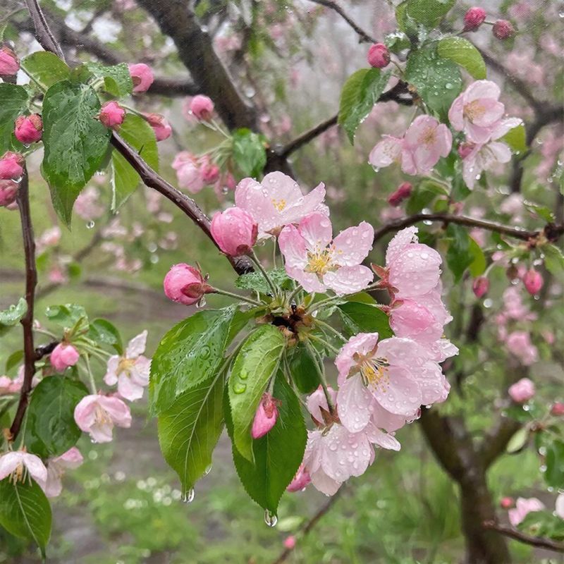 ������� ������ � ����� �� 4 ������