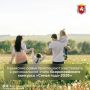 В Крыму с 6 апреля по 29 мая пройдет региональный этап Всероссийского конкурса «Семья года-2026»