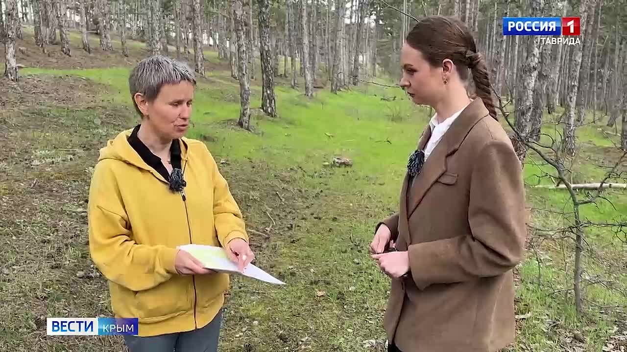 ВЕСТИ КРЫМ «Интервью»: Иван Зуянов