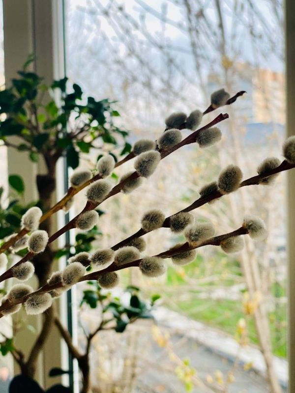 ���� ������: � ����� ����� �� � ���������, ���� ����� ������ � �������� � �������: ��� ���? ����� �� �������: ��� ���� �����, ������ �� �������� ������������