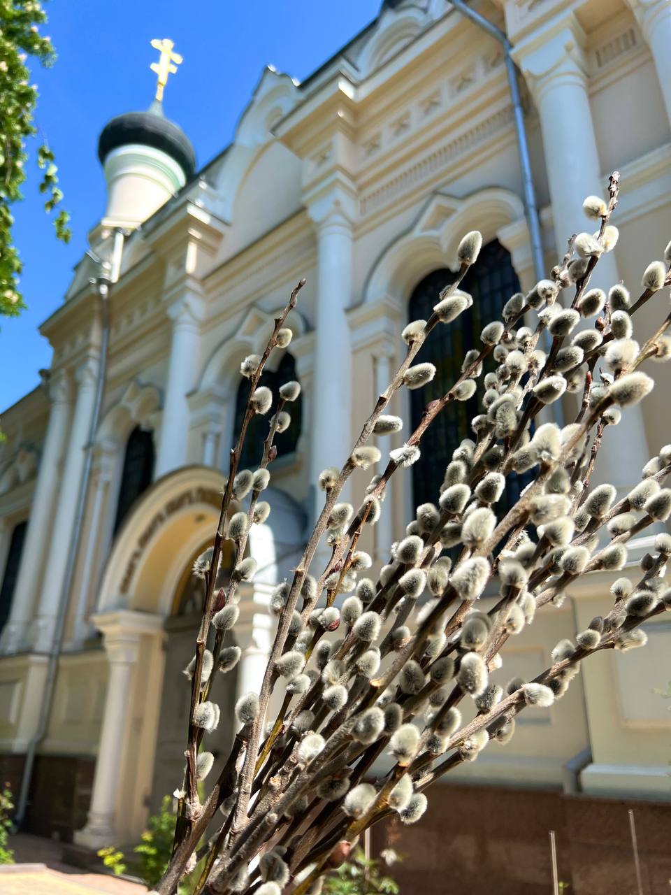 Анастасия Гридчина: Сегодня за окном — особенный свет