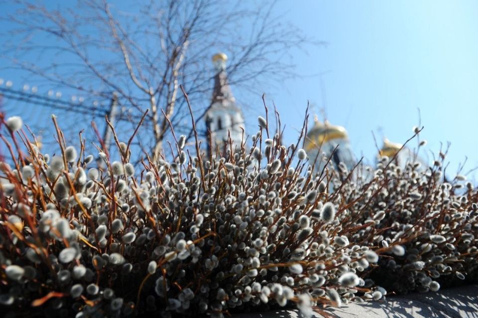 �������� ������������: ���������� ������������ �������� � ������� ������������!