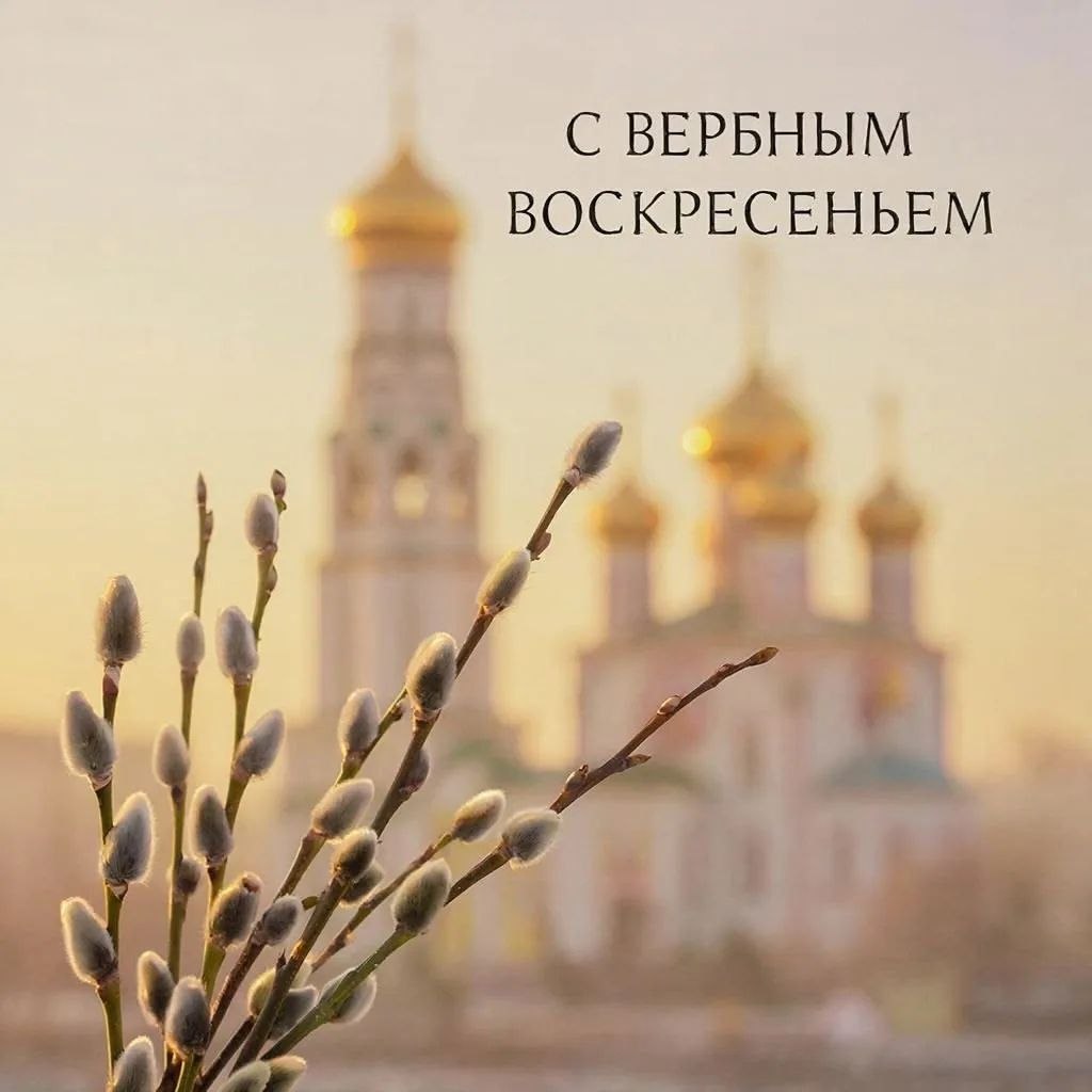 Алексей Ерёменко: Поздравляю православных христиан с Вербным Воскресеньем!
