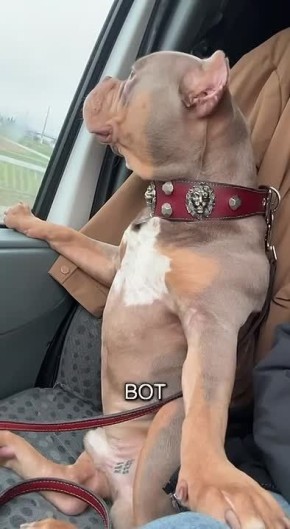 ����� ���������: � ��� ����������� �����, ����� � ��� ��� �� ���� ����� �� ������ � �����, ��� � �������� ������� �� �����