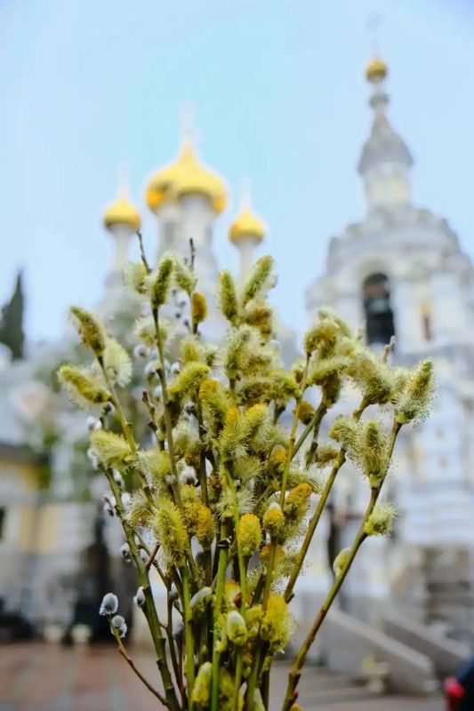 ����� ��������: � ������� ������������, ��� ������� ������