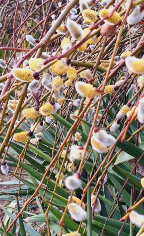 ��������� ���������: � ������� ������������, ������� ���������!