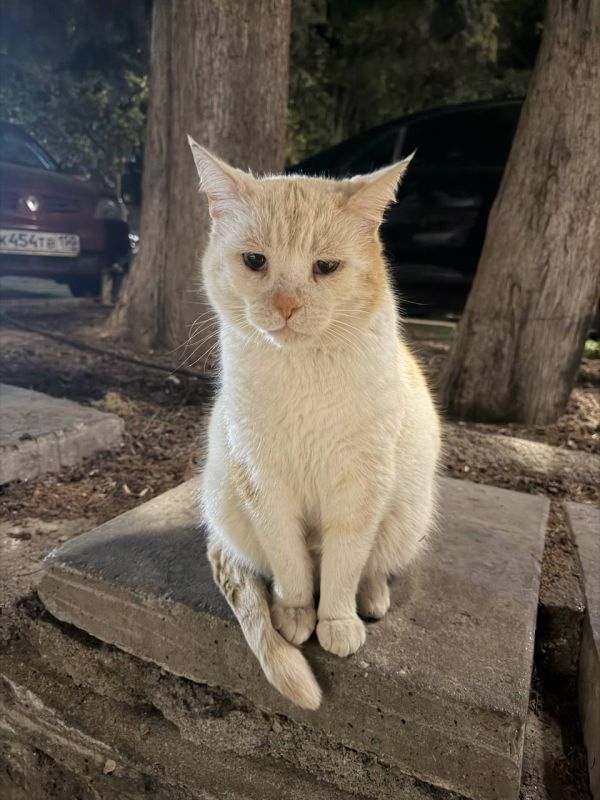 ���� ����: ��������� ���