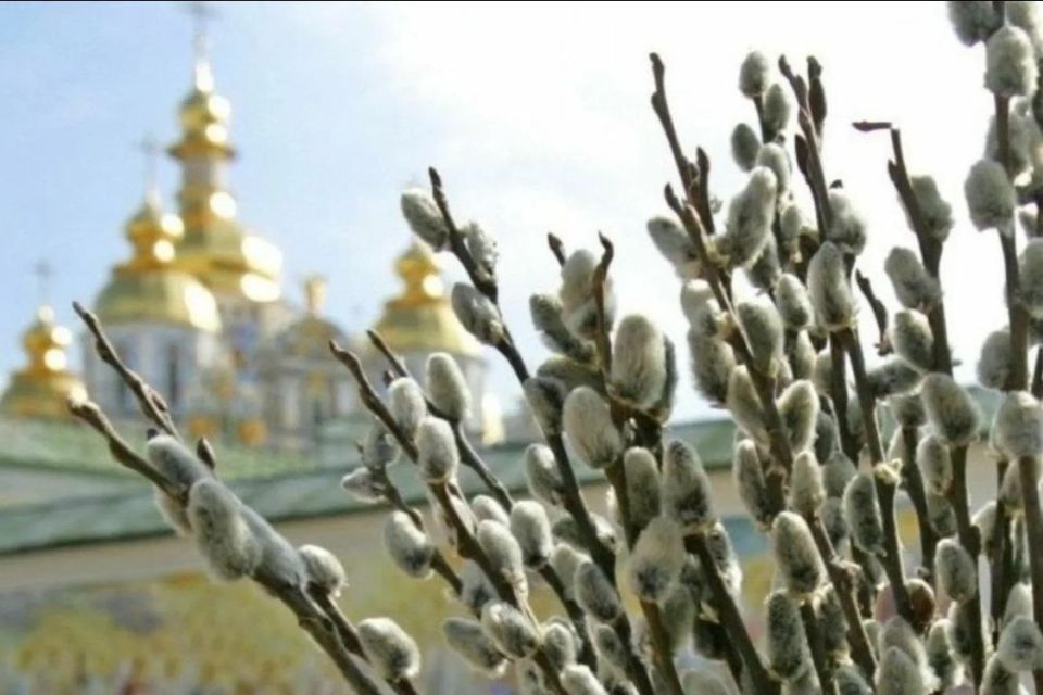 ��������� ������ ���������� ������!! �������� ���������� ��� � ������� ������������