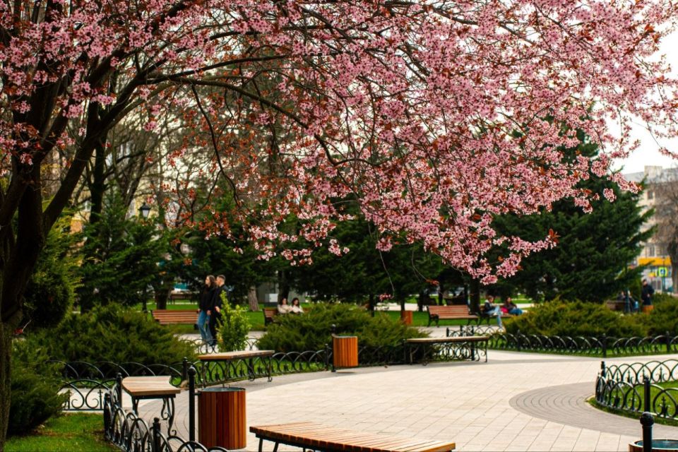 ������ ����!. #�����������