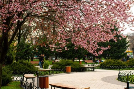 ������ ����!. #�����������