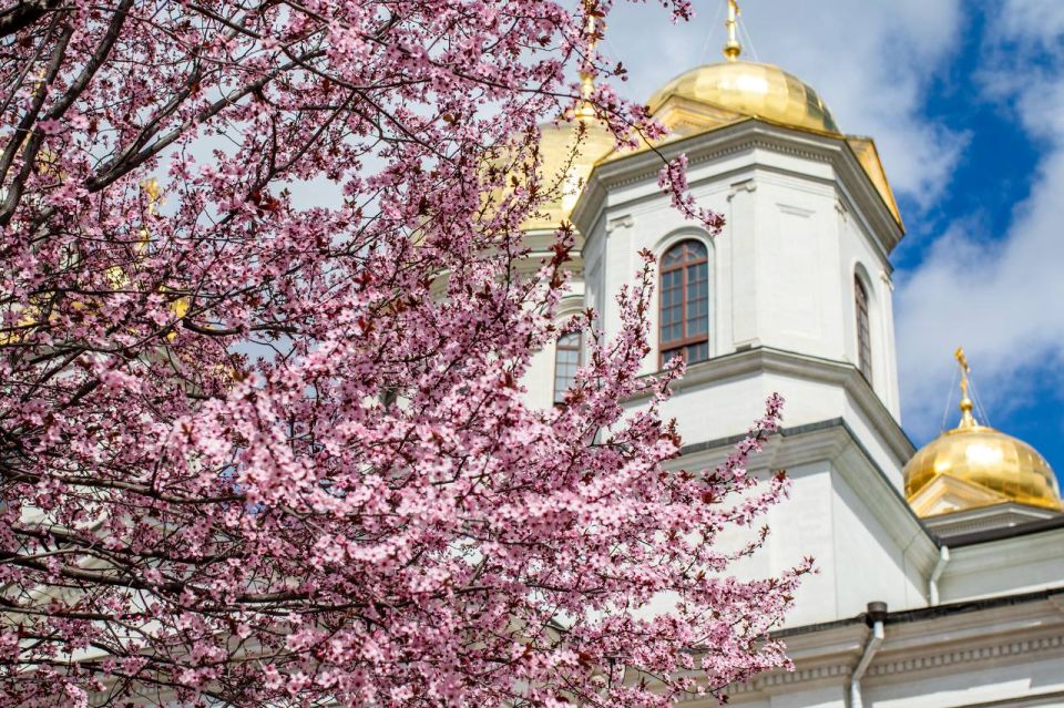 ������ ���������: �� ���� ���� ���������� ������������ �������� � ������� ������������!