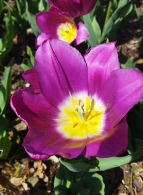 � ��������� ������������ ���� ������������ ����� ��������� � ��� ����� �������� ��� ������