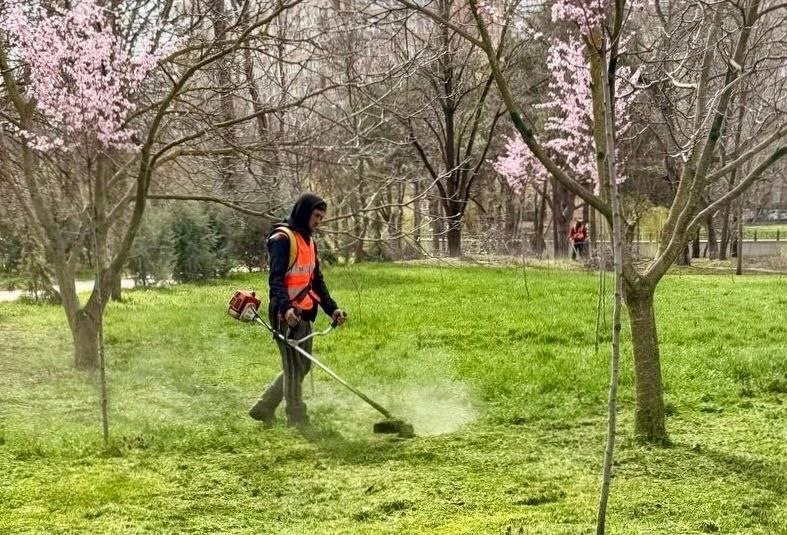 В парках и скверах Симферополя начался активный покос травы В парках и скверах Симферополя начался активный покос травы