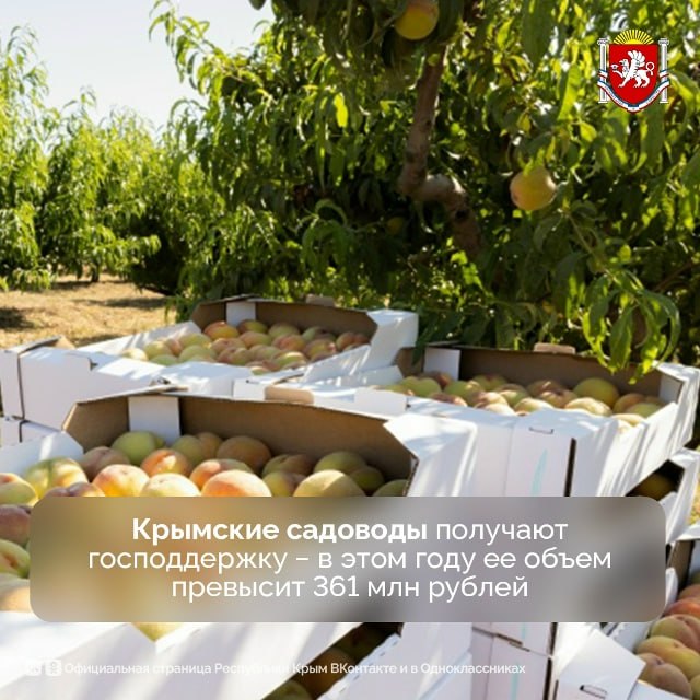 Площадь садов в Крыму почти достигла 17 тыс