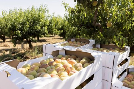 ������ 361 �������� ������ �������� � ����� �� ��������� �����������