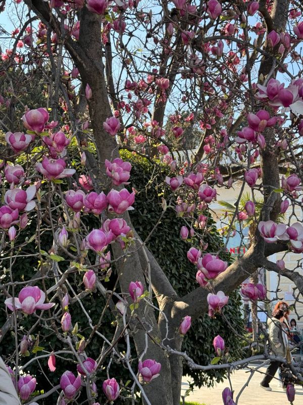 ����� ������ ��� ������� � ������ ����� 6 ������